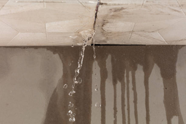 Professional Structural Drying technician working in Fowlerton, TX
